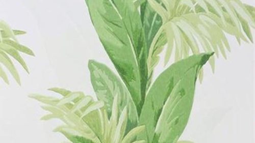 Palmetto Green-Ivory NCW4274-01